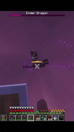 I Killed the Ender Dragon With THORNS?! 😳 | 100 Days Hardcore