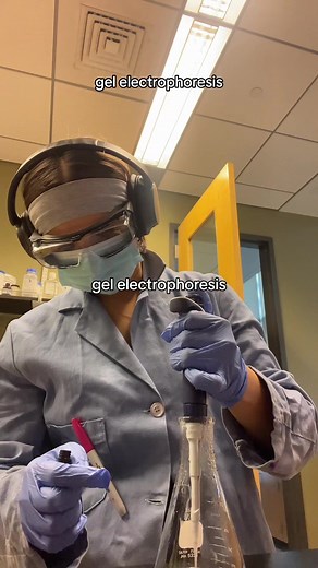 Gel Electrophoresis Experiment Tutorial
