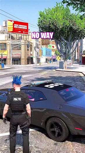 i stole a cop car then sold it...
