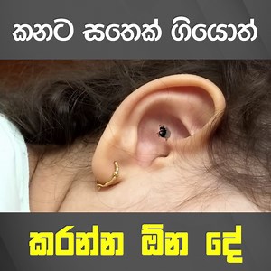 554K views · 12K reactions | කනට සතෙක් ගියොත් කරන්න ඕන දේ - ඩොක්ටගෙන් අහන්න | මෙවැනි වැදගත් පුවත් නැරඹීම සදහා Shraddha Tv News යුටියුබ් චැනලය Subscribe කර සීනුව සලකුන ඔබන්න. https://youtube.com/c/ShraddhaTVNews | Shraddha TV News | Facebook