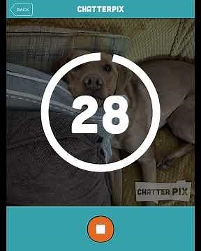 How to use Chatterpix (Quick Guide)