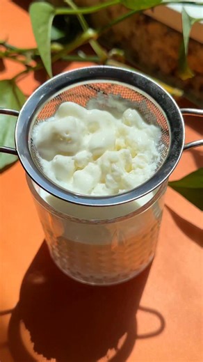 Breaking down the simple basics of how to make easy homemade milk kefir, a probiotic-rich fermented drink that’s soon to be a staple in your kitchen! 🥛 | Live Eat Learn