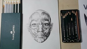 Beginner head anatomy tutorial: proportions, angles, and shading