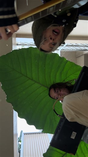 Hey hey hey hey | hey hey hey drake