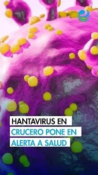 Health Ministry issues epidemiological alert for hantavirus after outbreak on cruise ship