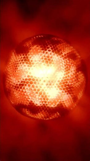 The Sun's Cell: Abstract 3D Sphere #3danimation #blender
