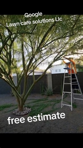 Local Lawn care services #freeestimation #irrigation #repair #maintenance | Lawn care solutions Llc.