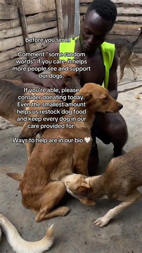 Support me ❤️ Every little donation helps me keep going. Donate via PayPal 🔗 in my bio 🙏 #fyp