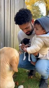 Kitten Screaming for Help Trapped in Fence — Mother Cat’s Cries Bring Rescue#KittenRescue