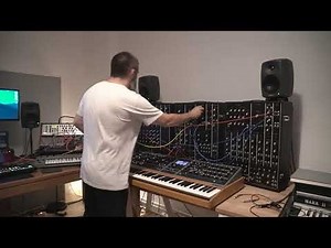 Techno Jam with sweet IIIP Moog Modular Synth, 2 DFAM and a Roland TR8s Drum Machine