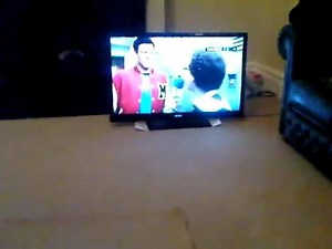 Using Mezzmo DLNA media server to stream DIVX videos and MP3 music files to my Sony Bravia KDL40NX71