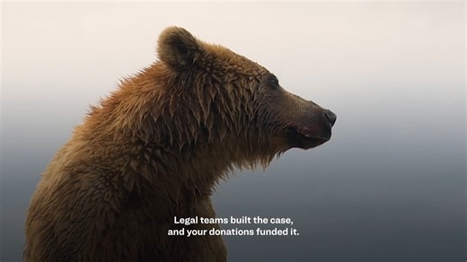 7.8K views · 116 reactions | Since January, we’ve received thousands...