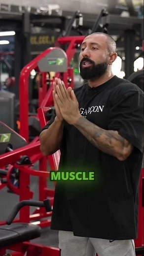 The anatomy of the triceps