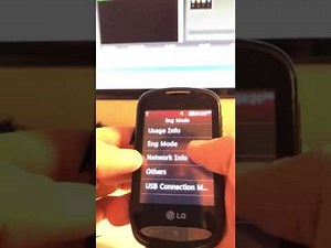 LG800G UNLOCKING DESCRIBED