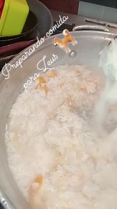 Aquí estoy preparando comida para Zeus . Arroz con tortillas y pechuga de pollo no le pongan aceite ni sal,ya qué es fácil de digerir y una buena fuente de energía . pero muy poca cantidad por su aporte calórico y sal ☺️ #fypシ゚viralシfypシ゚viralシ #viralvideochallenge #Todos | Miriam Quintana