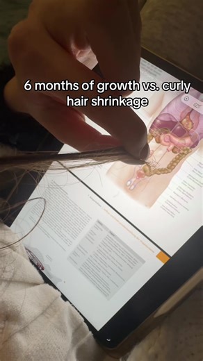 6 Months of Curly Hair Growth vs. Shrinkage
