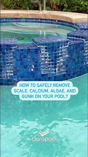 Removing calcium from a pool tile #shorts #youtubeshorts