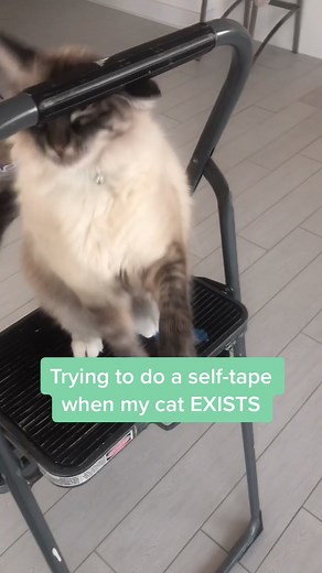 Allegra Clark on TikTok