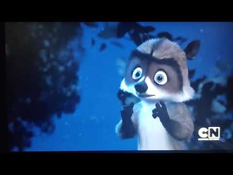 Over the Hedge on Cartoon Network USA