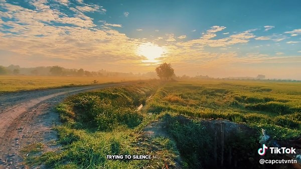 CapCut Video Editing Tutorial for Beginners