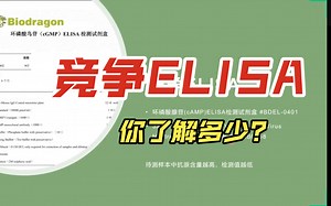 竞争ELISA的相关知识
