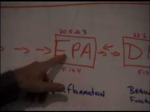 Dr. Rick Dina, D.C. Essential Fats Section I