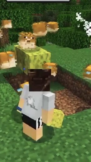 jhink chika x puffer fise minecraft 🤣