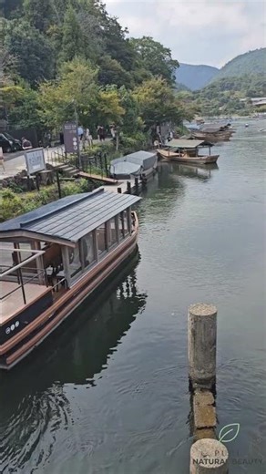 Japan’s Hidden River Beauty 🇯🇵 | Peaceful Boat Ride & Nature Views #japan river #japantravel