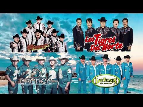 Los Tucanes De Tijuana, Los Tigres Del Norte, GRUPO BRONCO,LOS HURACANES DEL NORTRE MIX 2021