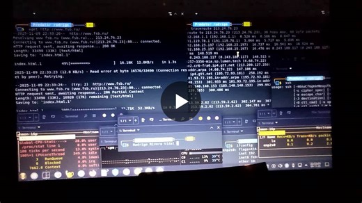 #offensive #security #predator #os #linux #rodrigoriveravidal #cyberdefense #officer #operations #counterattack #training | Rodrigo Rivera Vidal