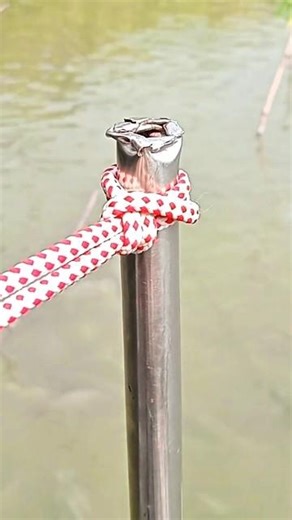 OMG! Super Strong & Simple Trailer Hitch Knot You Must Try!