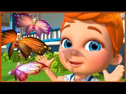 Flutter, Flutter, Butterfly - Baby songs - Nursery Rhymes & Kids Songs - Momo Preschool Cartoon