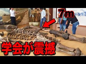 Evidence of giants discovered in the jungle has shocked the archaeological community... The true ...