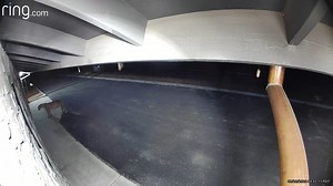 103K views · 1.1K reactions | Talk about a cowardly (mountain) lion. Video from Big Bear shows a cougar get startled by its own reflection. https://bit.ly/3BW2xnZ | KTLA 5 News | Facebook