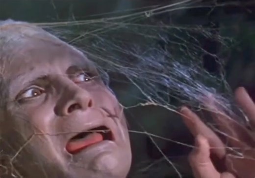 2.8M views · 25K reactions | #thefly #thefly1958 #vincentprice #davidhedison #theflymovie | Night Flight | Facebook