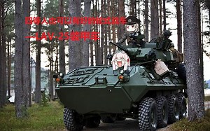 美国穷小子也能拥有好轮式战车！—LAV-25装甲车