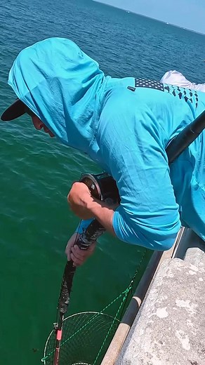 Randall Shaw on Reels