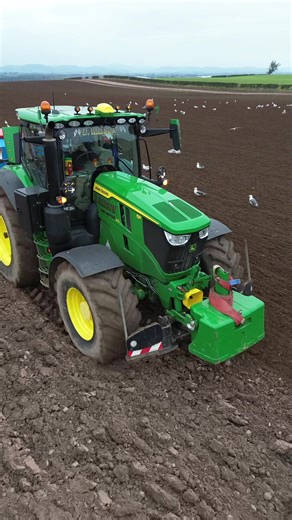 Winter Wheat Harvesting Techniques and Insights