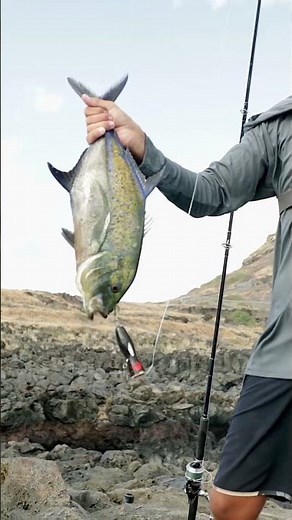 Papio on the Popper!💥