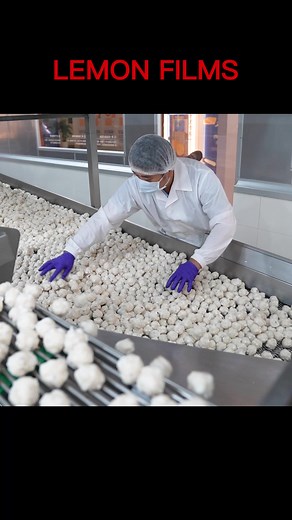 Lemon Films 職人探索頻道 on TikTok