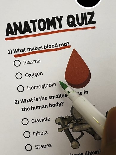 Anatomy Quiz - Can you get 7/7? #anatomy #anatomyquiz #quiz #quiztime #trivia
