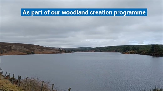 2K views · 17 reactions |  We've planted 1800 native broadleaf trees...