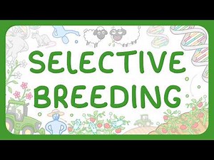 Selective Breeding (Middle School Science)