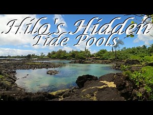 Hidden Tide Pools in Hilo, Big Island Hawaii, The Unbeaten Path
