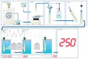 Falling Number - Alchetron, The Free Social Encyclopedia