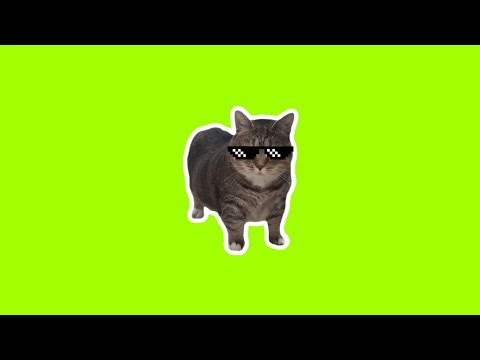 OIIAOIIA Cat Ethel Is Back! 🐱 (Original Video)