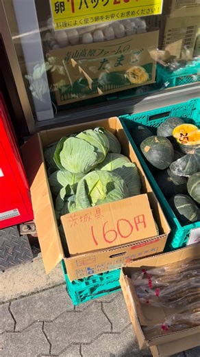八百屋のや 下寺店 on Instagram: "いつもありがとうございます！ 本日もよろしくお願いいたします！ 激安八百屋のや 浪速区（下寺店） 大阪市浪速区下寺2-7-2 営業時間 午前10時〜午後7時まで 定休日 日曜日、祝日 浪速区 （大国店） 大阪市浪速区大国1-12-23 営業時間 午前9時〜午後7時まで 定休日 日曜日、祝日 #果物 #野菜 #八百屋"