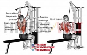 Medium-Grip Lat Pull-down: Build Your Upper Back Strength – Fitness Volt