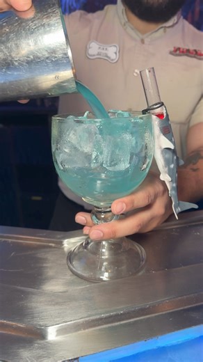 2.5K views · 21 reactions | The Megalodon lives on! Quench your thirst with our Megalodon cocktail in honor of Shark Month! 麗 | T-Rex Cafe | Facebook