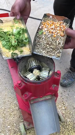 Feed making machine #feedmakingmachine #strawcrusher #feed #woodchpper #woodcrusher #garden #harmmermill #FYP #branches #woodgrinder